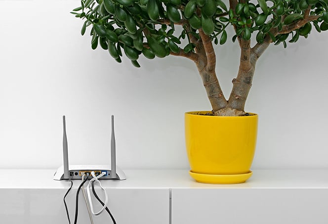 Como melhorar o sinal da sua wi fi em casa AVG